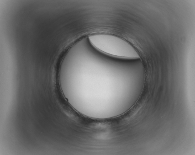 X0000112540303200908171211
