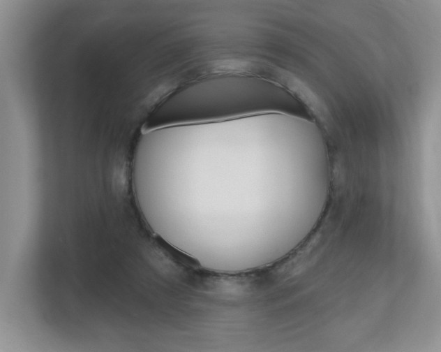X0000112540305200908171211