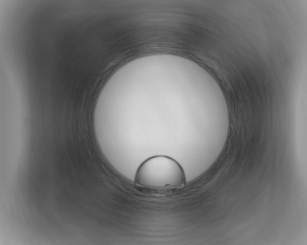 X0000112540308200908171211