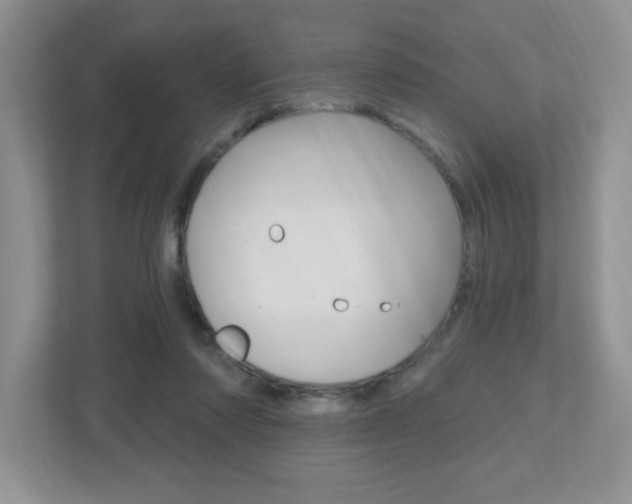 X0000112540310200908171211