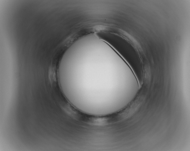 X0000112540313200908171211