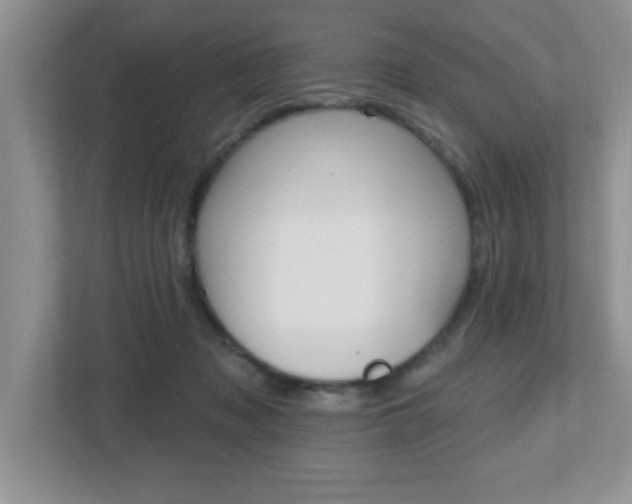 X0000112540317200908171211
