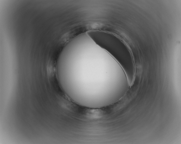 X0000112540324200908171211