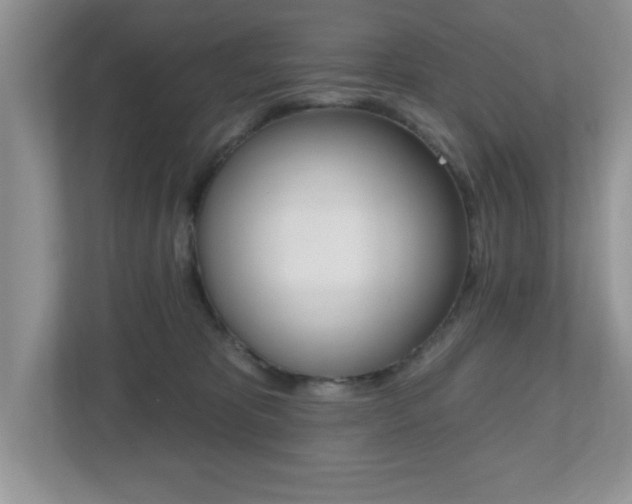 X0000112540325200908171211