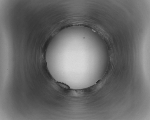 X0000112540327200908171211