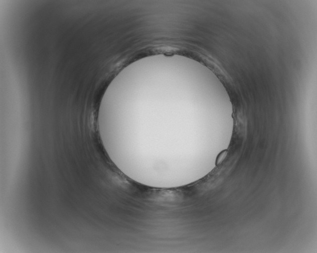 X0000112540330200908171211