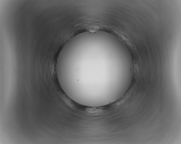 X0000112540331200908171211