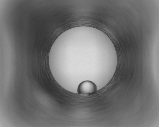 X0000112540333200908171211
