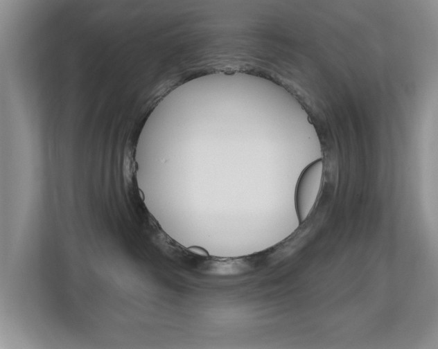X0000112540334200908171211