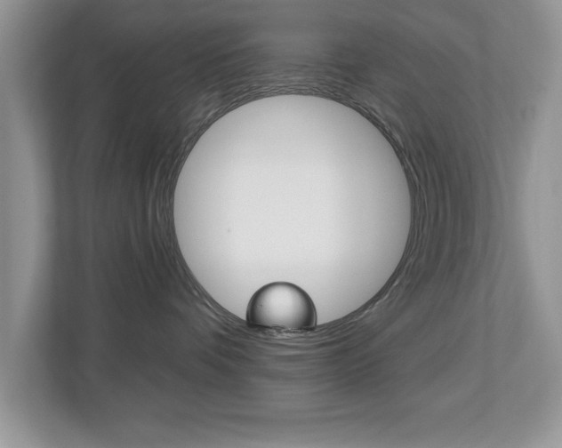 X0000112540336200908171211
