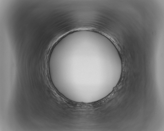 X0000112540337200908171210