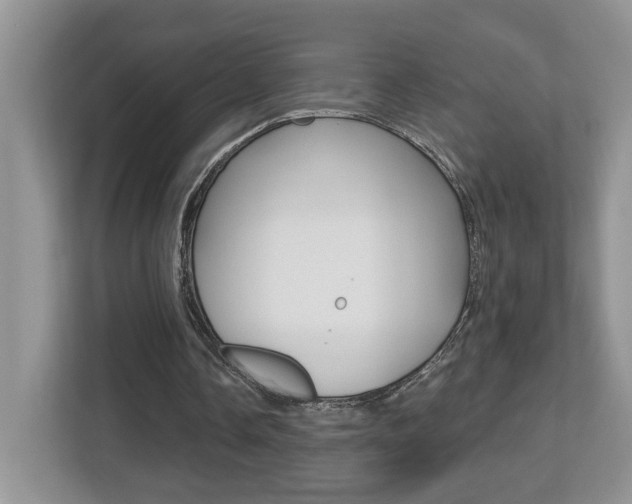 X0000112540338200908171210