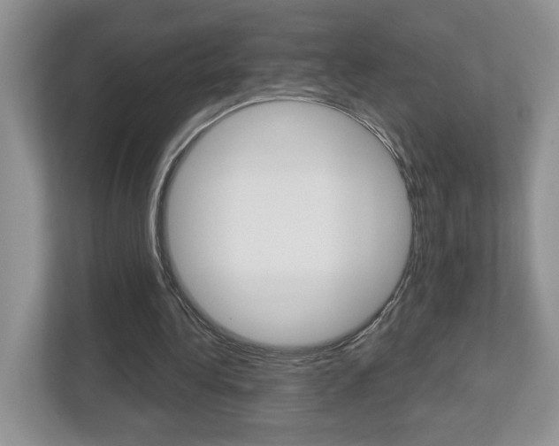 X0000112540340200908171210