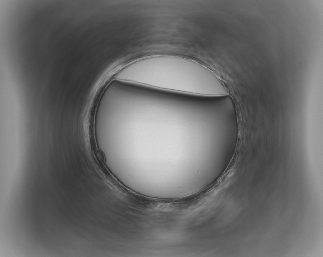 X0000112540341200908171210