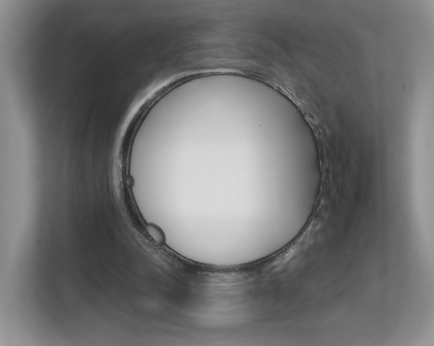 X0000112540342200908171210