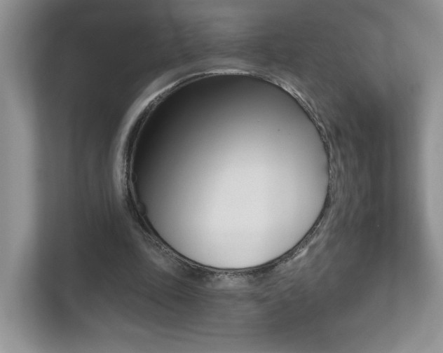 X0000112540343200908171210