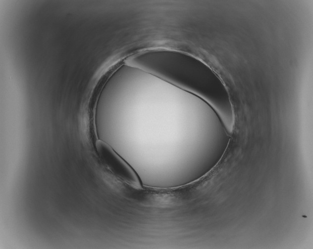 X0000112540344200908171210