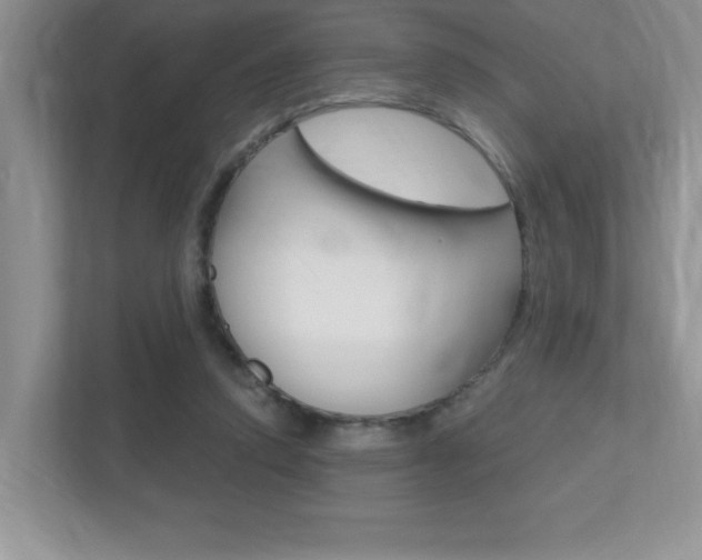 X0000112540354200908171211