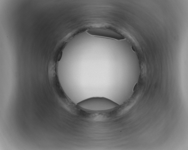 X0000112540356200908171211