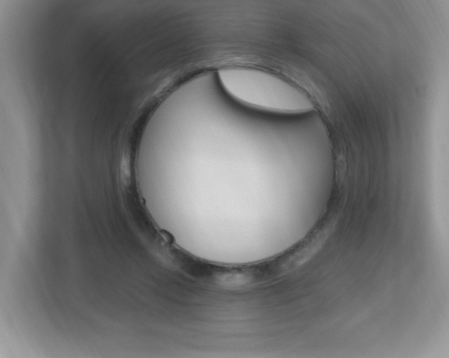 X0000112540358200908171211