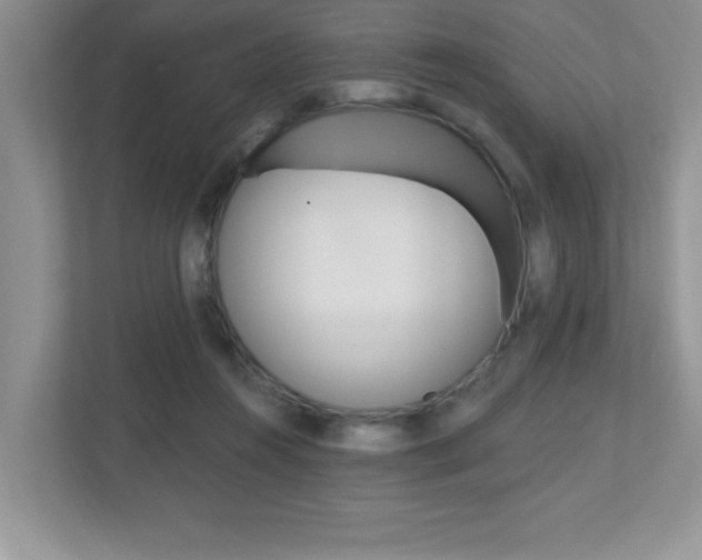 X0000112540360200908171211