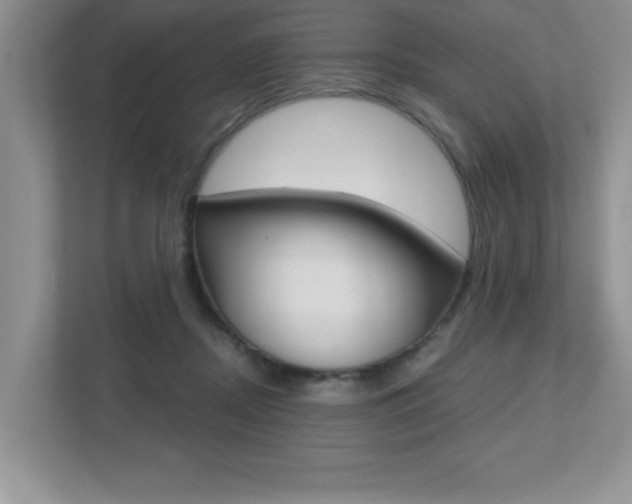 X0000112540362200908171211