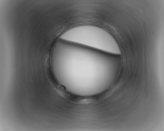 X0000112540364200908171211