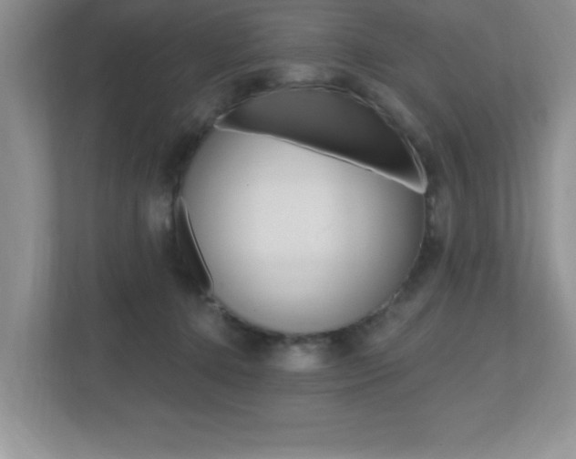 X0000112540368200908171211