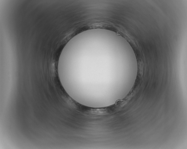 X0000112540378200908171211