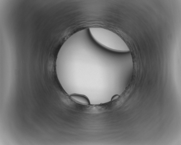 X0000112540379200908171211