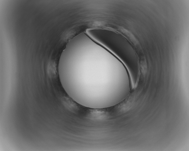 X0000112540380200908171211