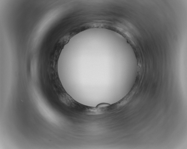 X0000112540381200908171211