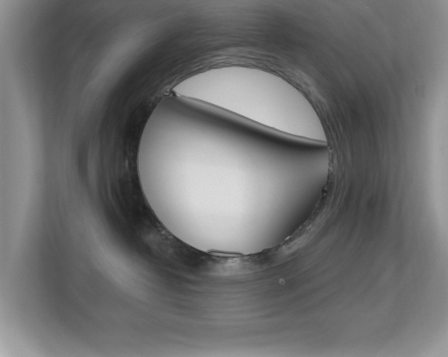 X0000112540382200908171211