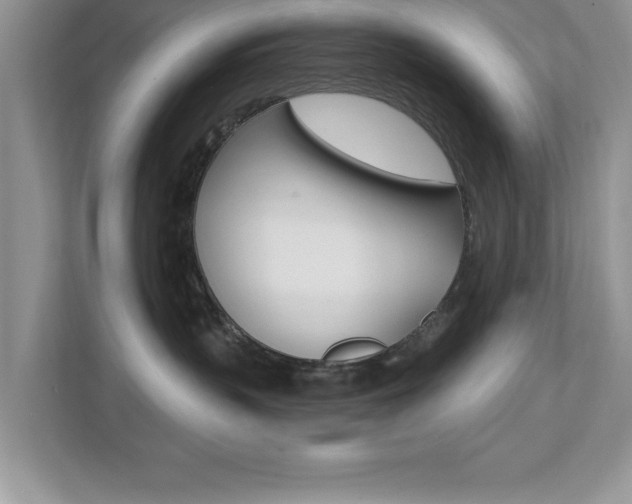 X0000112540383200908171211