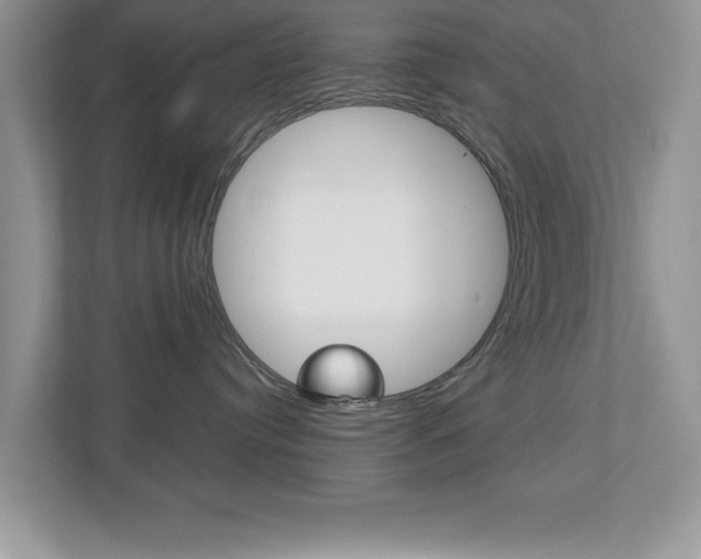X0000112540384200908171211