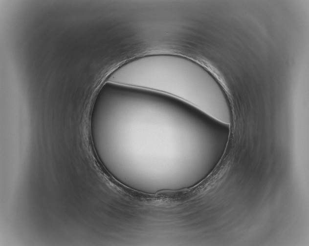 X0000112540385200908171210