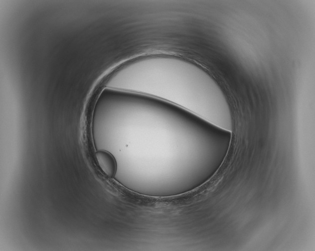 X0000112540388200908171210