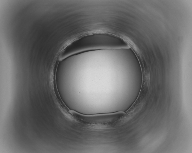 X0000112540389200908171210