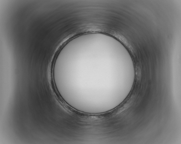 X0000112540390200908171210