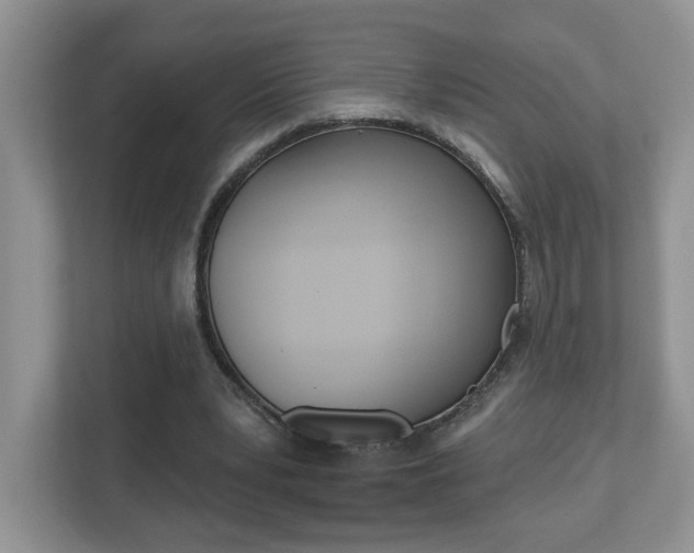 X0000112540391200908171210