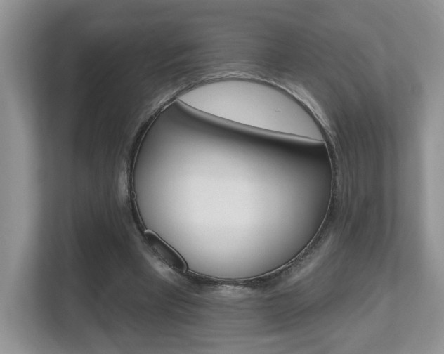 X0000112540393200908171210