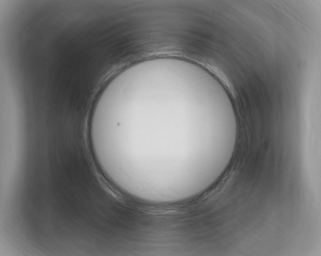 X0000112540397200908171210