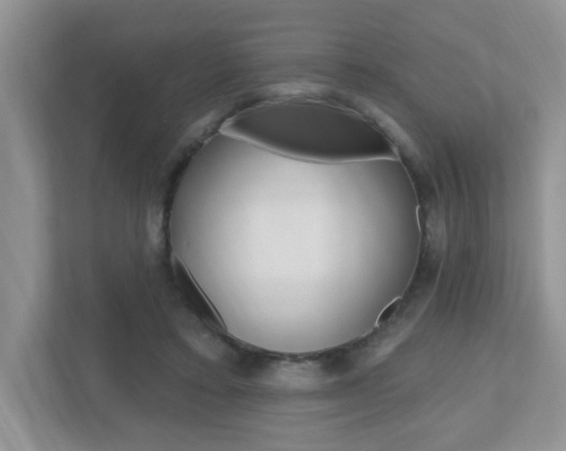 X0000112540403200908171210
