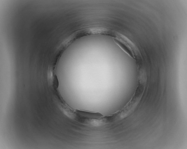 X0000112540405200908171210