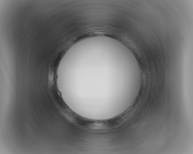 X0000112540406200908171210