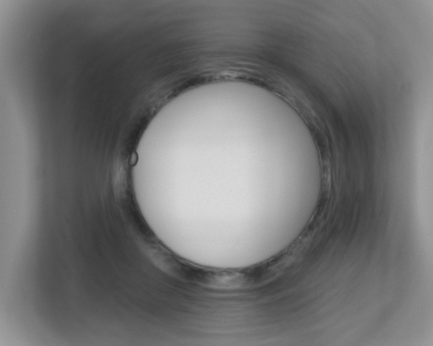 X0000112540410200908171210