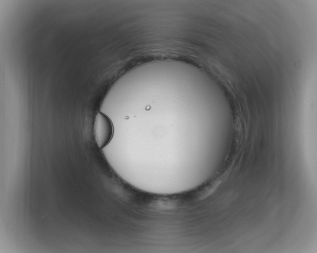 X0000112540416200908171210