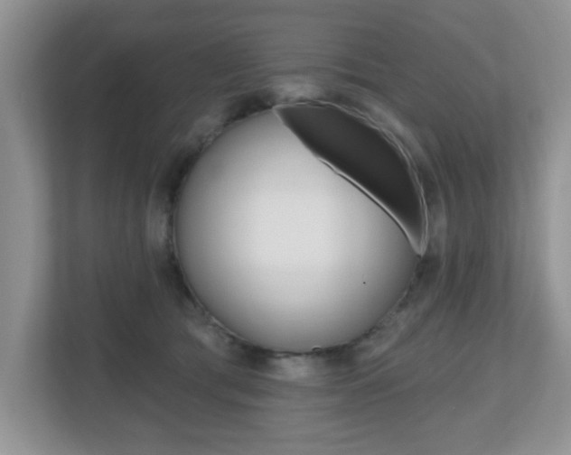 X0000112540417200908171210