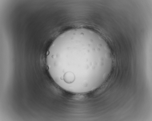 X0000112540418200908171210