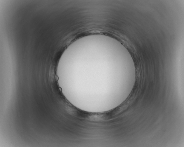 X0000112540422200908171210